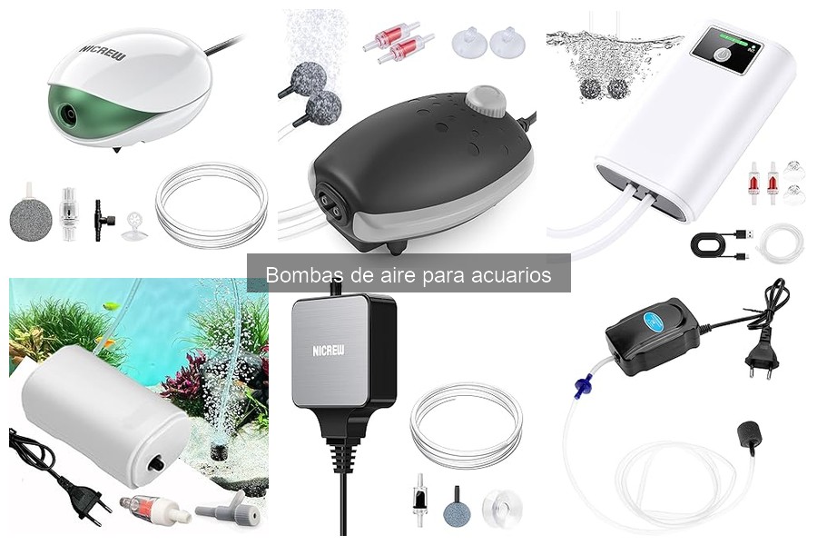Consejos para Maximizar la Eficiencia de Bombas de Aire en Acuarios