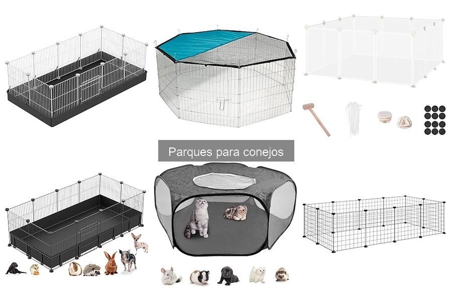 Consejos prácticos para mantener limpio un parque para conejos