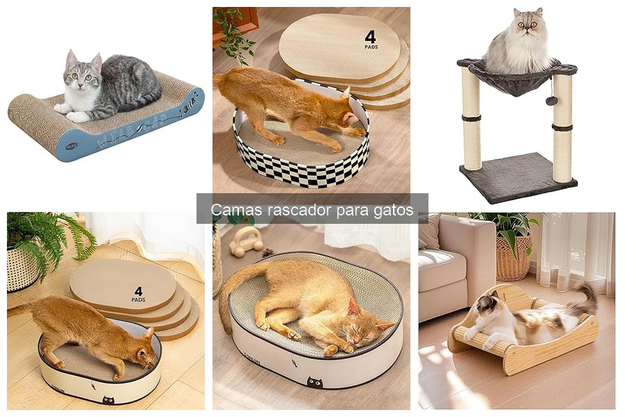 Coste promedio de camas rascador para gatos: guía de precios
