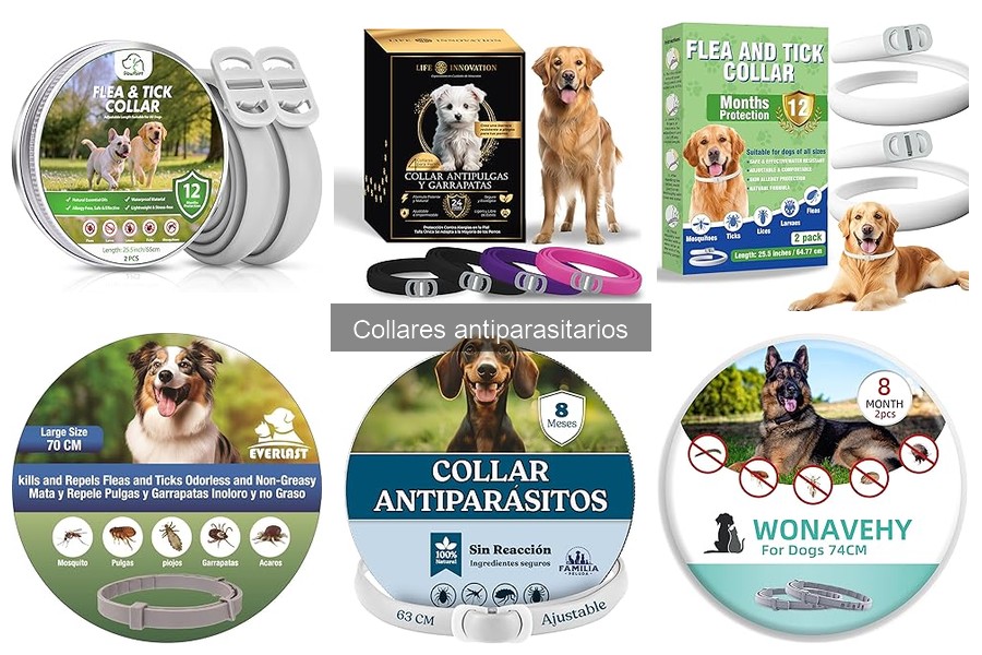 ¿Cuál es el mejor collar antiparasitario para perros y gatos?