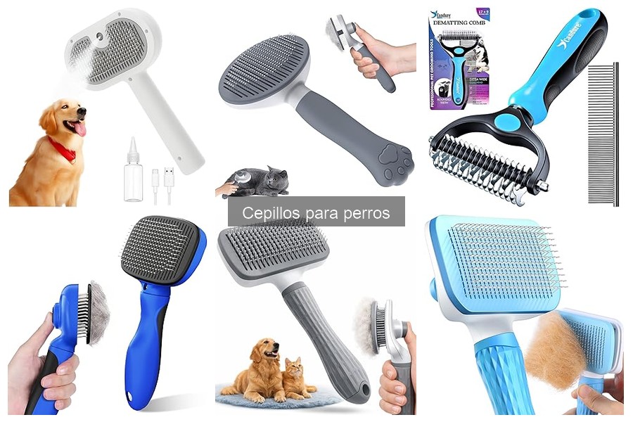 ¿Cuándo cepillar a tu perro? Momentos ideales para cuidar su pelaje