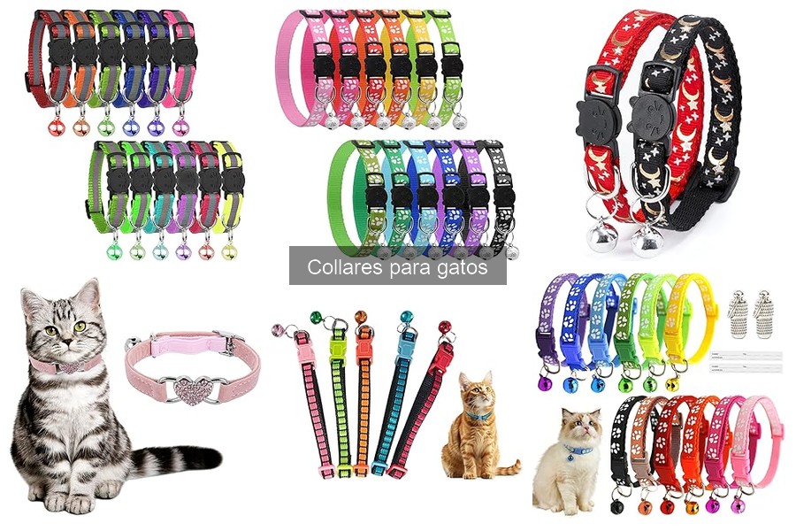Cuándo no usar collar en gatos: Consejos de seguridad