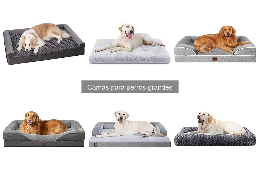 ¿Cuánto cuesta una cama para perros grandes? Guía de precios