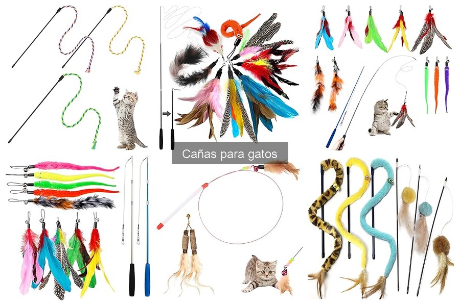 ¿Cuánto cuesta una caña para gatos? Descubre los precios