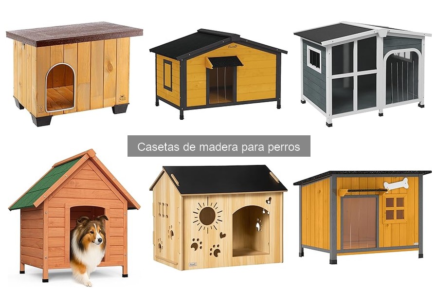 ¿Cuánto cuesta una caseta de madera para perros? Guía de precios