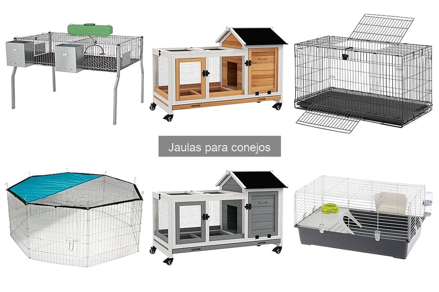 ¿Cuánto cuesta una jaula para conejos? Precios y factores