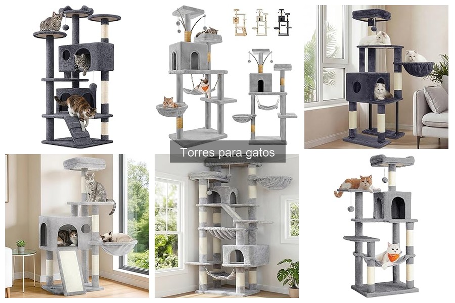 ¿Cuánto cuesta una torre para gatos? Comparativa de precios