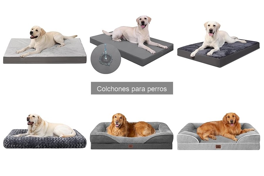 ¿Cuánto dura un colchón para perros? Factores a considerar