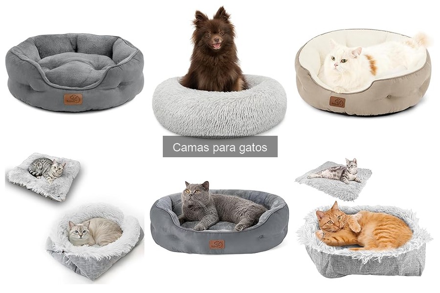 ¿Cuánto gastar en una cama para mi gato? Precios y opciones