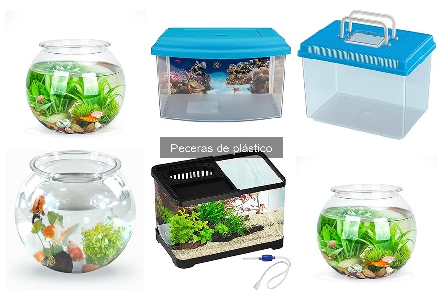 ¿Cuántos peces en una pecera de plástico? Guía rápida
