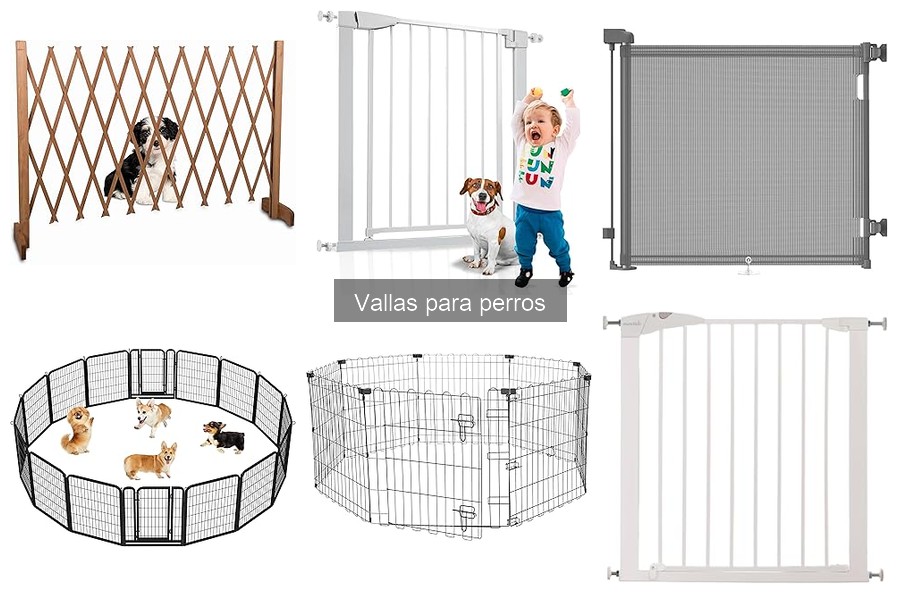 Cuidados Esenciales para el Mantenimiento de Vallas para Perros