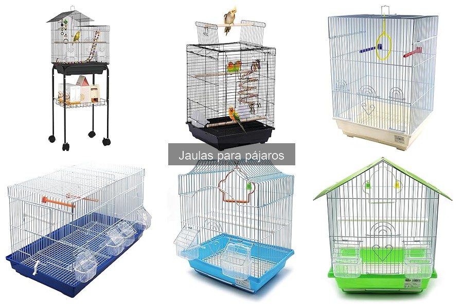 Cuidados Esenciales para Jaulas de Pájaros: Mantenimiento y Salud
