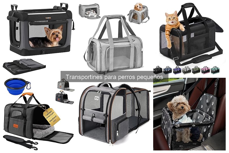 Cuidados y limpieza de transportines para perros pequeños