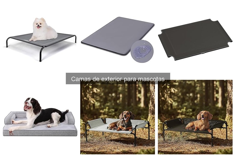 Cuidados y Mantenimiento de Camas de Exterior para Mascotas