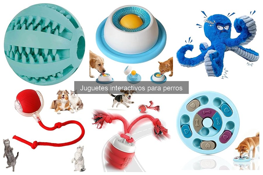 Cuidados y Mantenimiento de Juguetes Interactivos para Perros