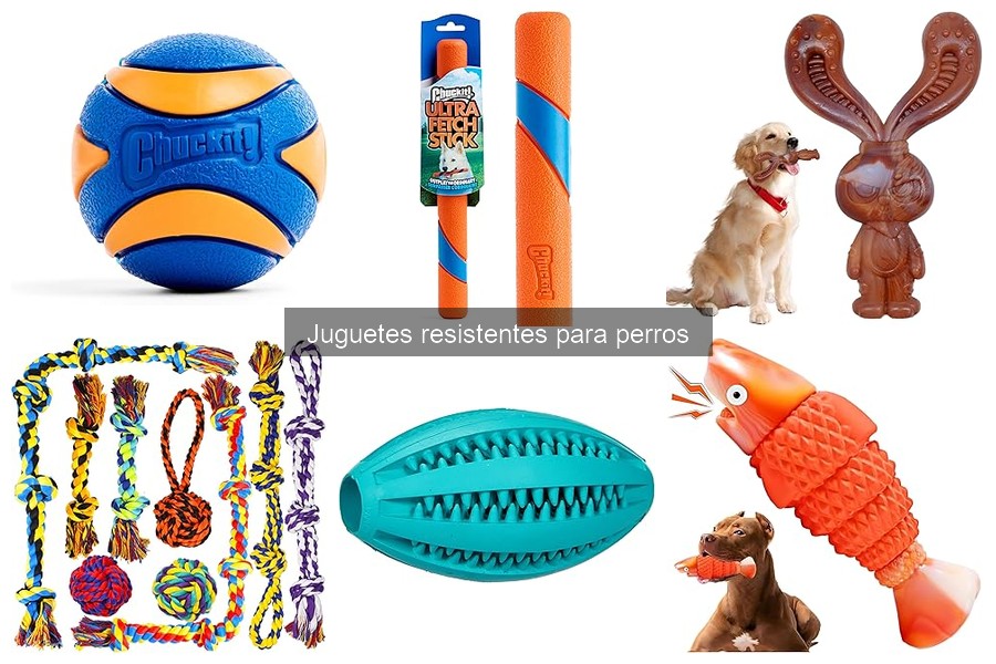 Cuidados y Mantenimiento de Juguetes Resistentes para Perros