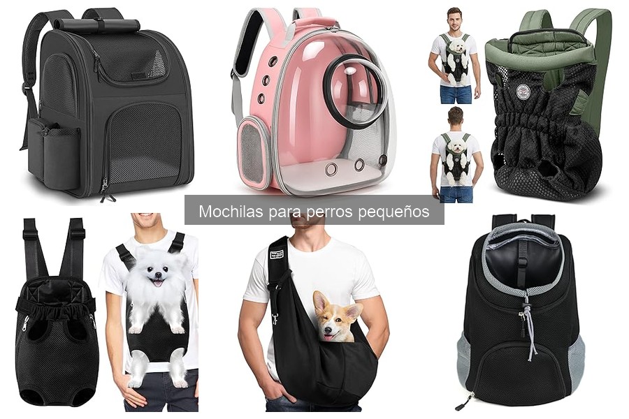Cuidados y Mantenimiento de Mochilas para Perros Pequeños