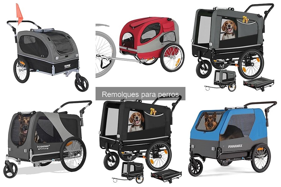 Cuidados y Mantenimiento de Remolques para Perros