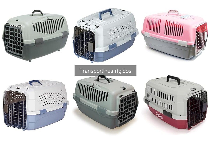 Cuidados y Mantenimiento de Transportines Rígidos para Mascotas