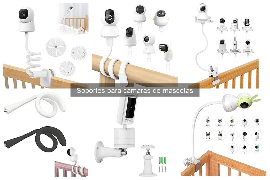 Descubre los Tipos de Soportes para Cámaras de Mascotas
