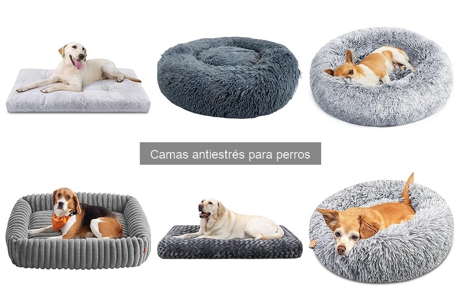 Descubre qué son las camas antiestrés para perros
