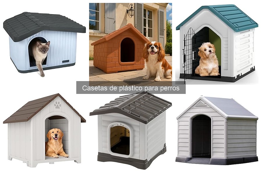 Descubre qué son las casetas de plástico para perros