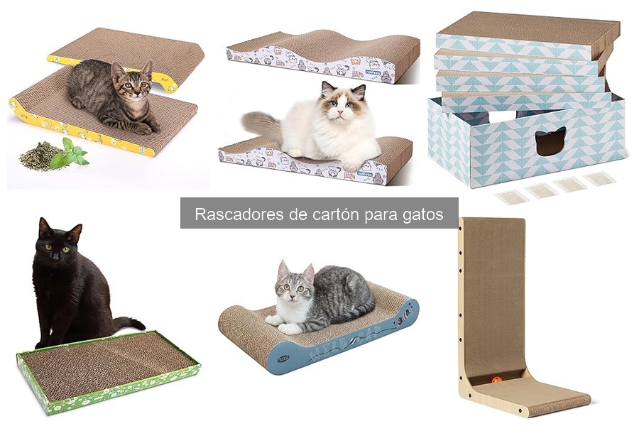 Descubre qué son los rascadores de cartón para gatos