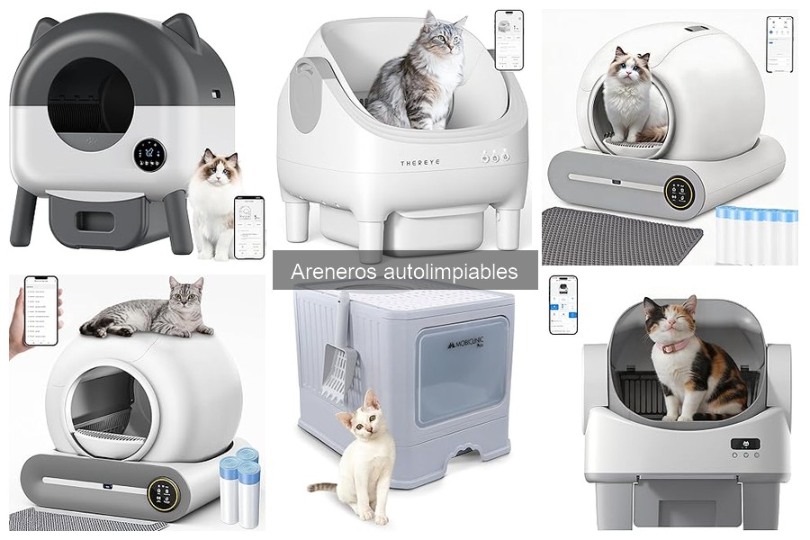Desventajas de los Areneros Autolimpiables para Gatos