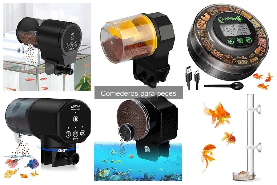 Diferencias entre Comederos Automáticos y Manuales para Peces
