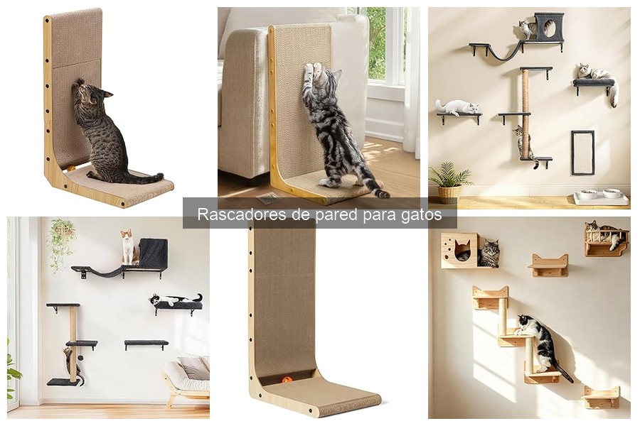 ¿Dónde colocar un rascador de pared para gatos?