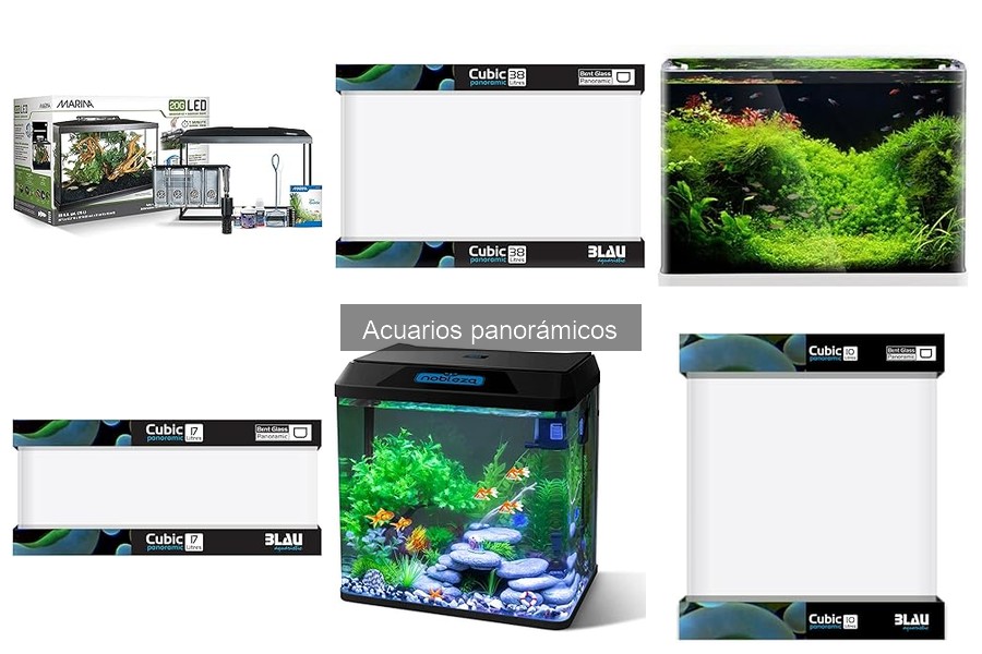 Dónde comprar acuarios panorámicos a buen precio