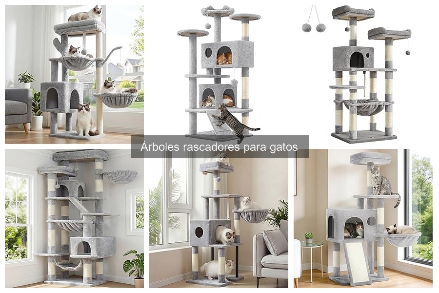 Dónde Comprar Árboles Rascadores para Gatos: Mejores Tiendas
