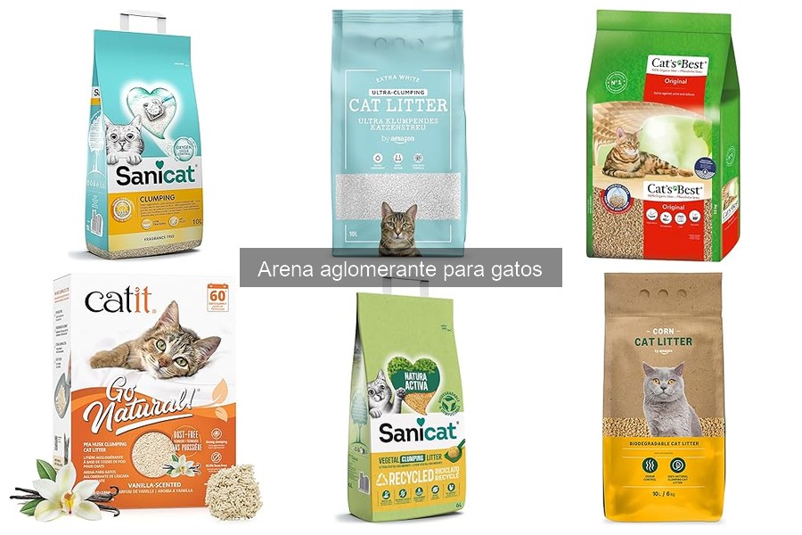Dónde comprar arena aglomerante para gatos: guías y precios