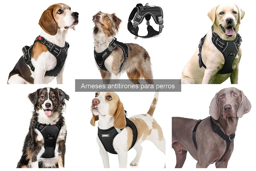 Dónde Comprar Arneses Antitirones para Perros: Mejores Opciones