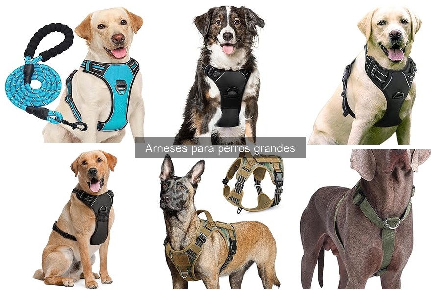 ¿Dónde comprar arneses para perros grandes? Las mejores opciones