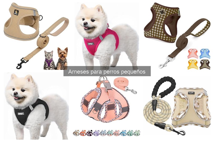 Dónde comprar arneses para perros pequeños: opciones y precios