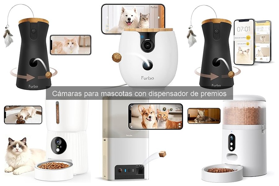 Dónde comprar cámaras para mascotas con dispensador de premios