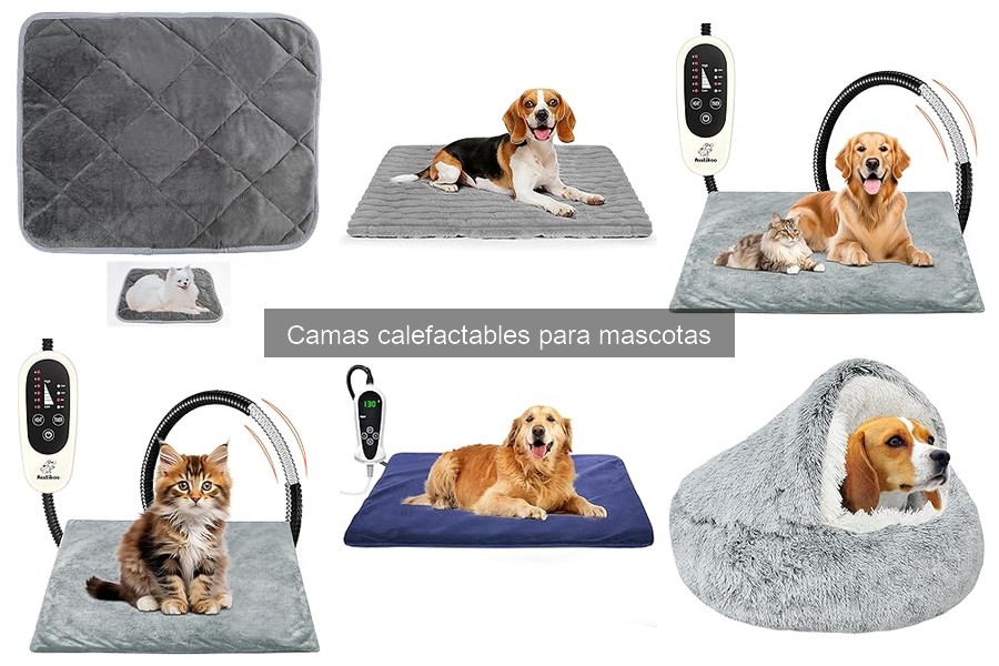 Dónde Comprar Camas Calefactables para Mascotas Online