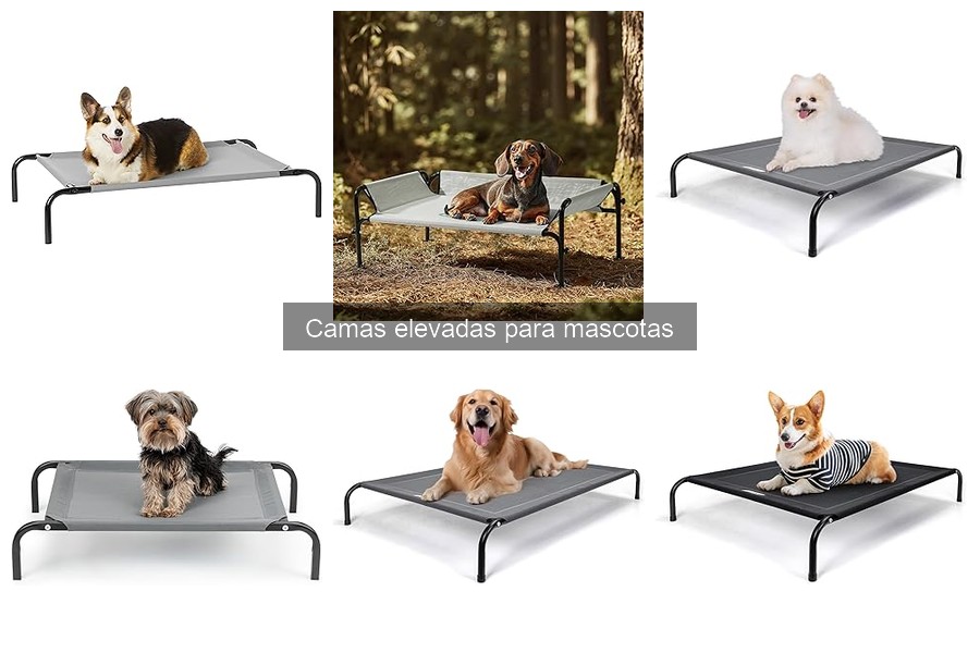 Dónde comprar camas elevadas para mascotas: ¡mejores opciones!