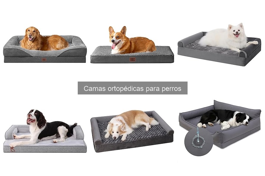 Dónde comprar camas ortopédicas para perros a buen precio