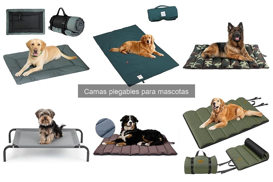 Dónde comprar camas plegables para mascotas fácilmente