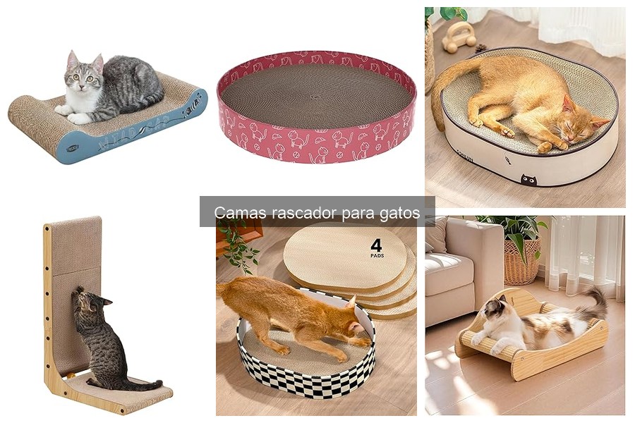 Dónde comprar camas rascador para gatos: mejores opciones