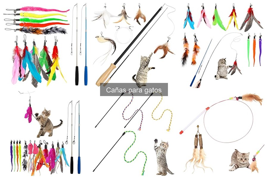 Dónde comprar cañas para gatos: las mejores tiendas y ofertas