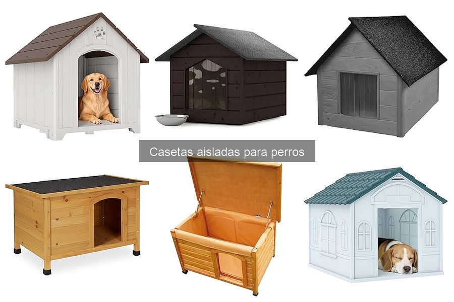 Dónde comprar casetas aisladas para perros: ofertas y recomendaciones