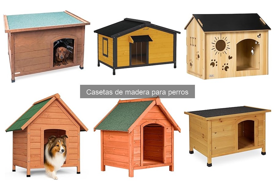 Dónde comprar casetas de madera para perros: guía y opciones