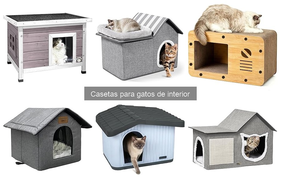 Dónde comprar casetas para gatos de interior: mejores opciones