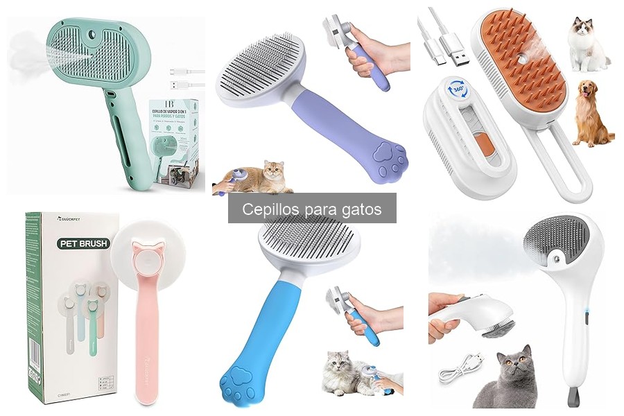 Dónde Comprar Cepillos para Gatos Baratos en Línea