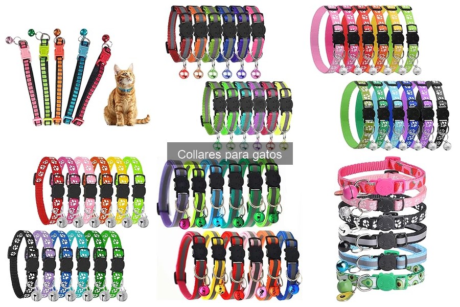 Dónde comprar collares para gatos en oferta online