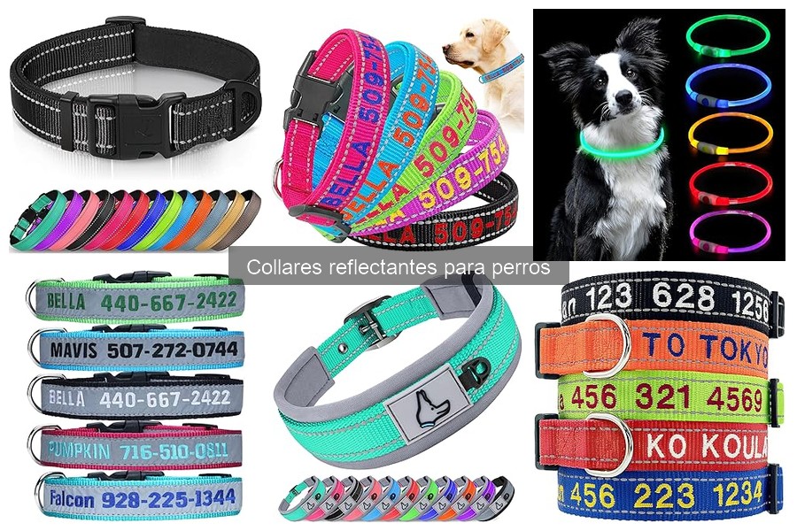Dónde comprar collares reflectantes para perros: Mejores opciones