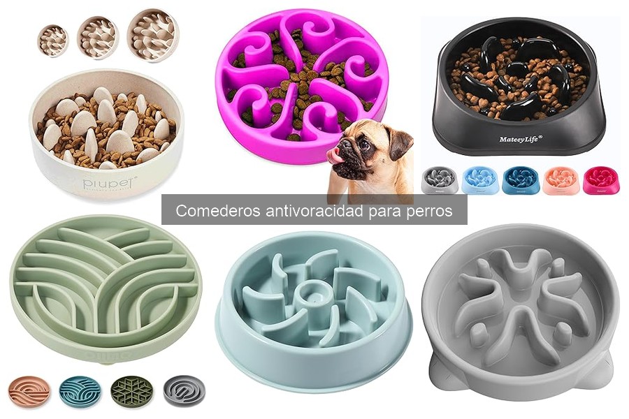 Dónde comprar comederos antivoracidad para perros online